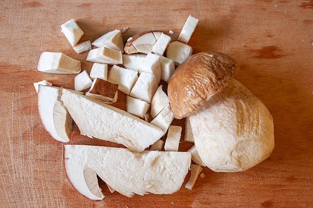 Natural collection of freshly foraged porcini mushrooms displayed in a basket outdoors.