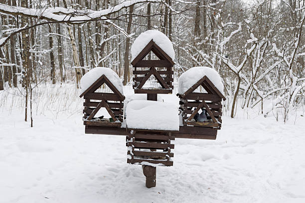 A cozy bird feeder covered in frost and snow in a sunny winter forest. The serene environment and bright light capture a perfect morning in nature, emphasizing the quiet beauty of a snow-covered park.