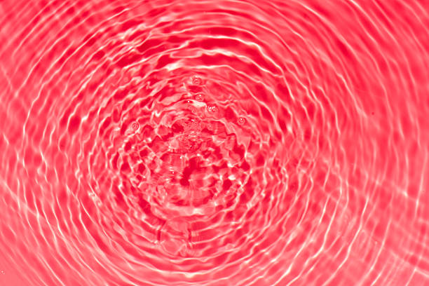 Red water bubbles on the surface ripples. Defocus blurred transparent pink colored clear calm water surface texture with splash and bubbles. Water waves with shining pattern texture background