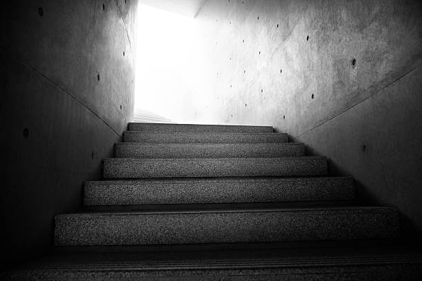 view of the ascending indoor staircase in monochrome