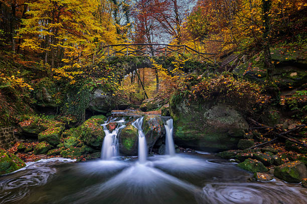 Autumn, Autumn Leaf Color, Beauty, Bridge - Built Structure, Color Image