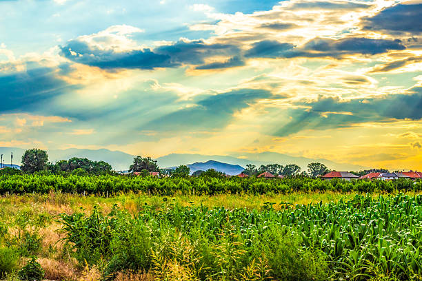 Summer pastoral fields,Rhodopes mountains in the distance, factory chimneys and dramatic sunset sky view. Plovdiv region Bulgaria
