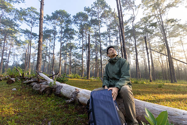 Asian hiker is trekking while exploring in the pine forest for surveying and discovering the rare biological diversity and ecologist on the field study