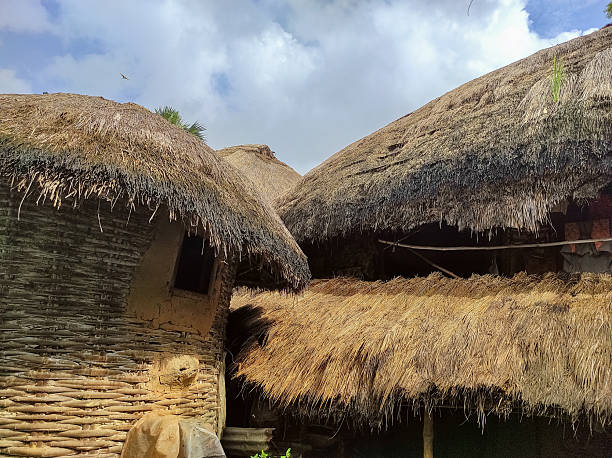 Image of a traditional thatched-roof hut constructed from mud and natural materials exemplifies rural architecture, sustainable housing practices, and the essence of village life.