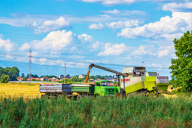 Summer fields,harvesting combine working hard ,harvester sunset summer sky view,Balkan mountains in the distance. Picture taken on July 12 2014, Plovdiv province. Bulgaria