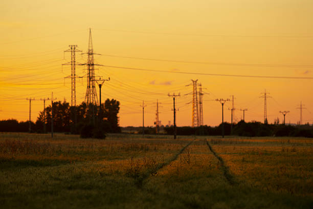 tractor tracks leading toward distant pylons and sun, farmer imagined finishing fieldwork at golden hour, textured crop rows, warm backlight, strong leading lines and pastoral calm