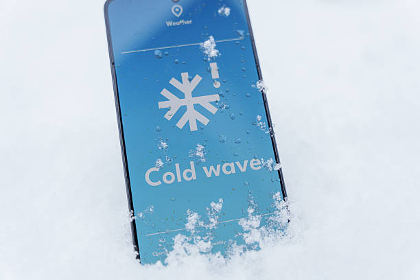 Woman in winter clothes using phone and holding coffee on snowy day. Waist up