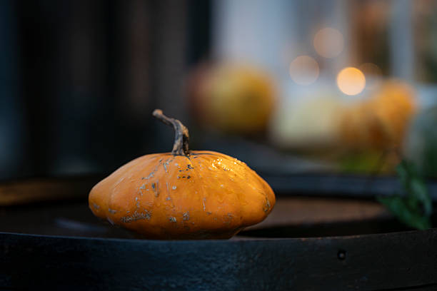 Small ornamental pumpkin on a doorstep after rain, illuminated by soft evening lights with blurred background. Close-up of a decorative pumpkin in a cozy autumn setting, featuring raindrops and warm bokeh lights.