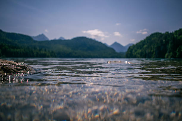 Low-angle photograph taken at the waterline of a Bavarian alpine lake, showing sparkling sunlight reflections on the water surface with forested hills and mountain peaks in the distance. The shallow water reveals the rocky lakebed, creating a peaceful and cinematic nature scene from southern Germany.