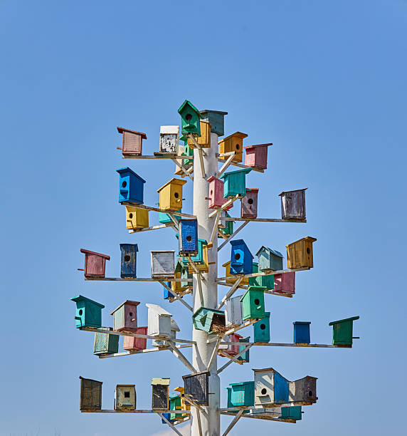 istock Birdhouse tree against a clear blue sky, a colorful attraction for birds 2254589183