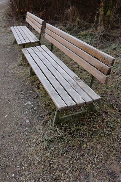 istock Frosty Wooden Benches in Winter Park 2254591584