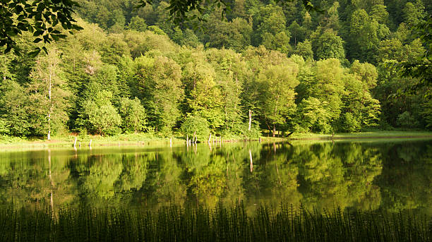 istock Lake Gosh, Dilijan, Armenia 2254592863