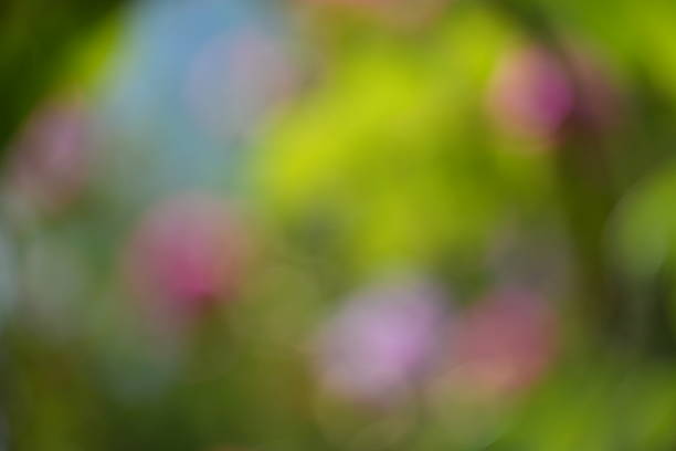 A charming bokeh background showcasing a delightful mix of soft pink, blue, and green hues. The blurred lights create a serene and colorful abstract design, perfect for gentle, romantic themes.