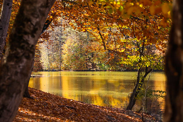 Lake Parz, Dilijan, Armenia