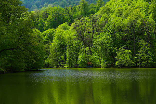 Lake Parz, Dilijan, Armenia
