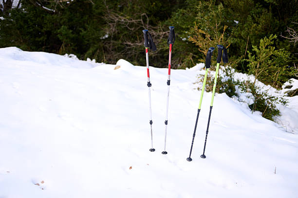 Close-up portrait of a smiling woman holding a trekking pole during a winter walk. Positive emotions, outdoor lifestyle, cold weather recreation, and wellbeing concept