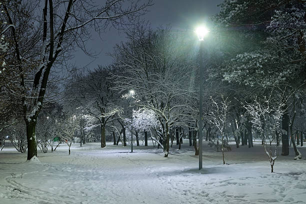 istock Winter park in the evening covered with snow 2254599122