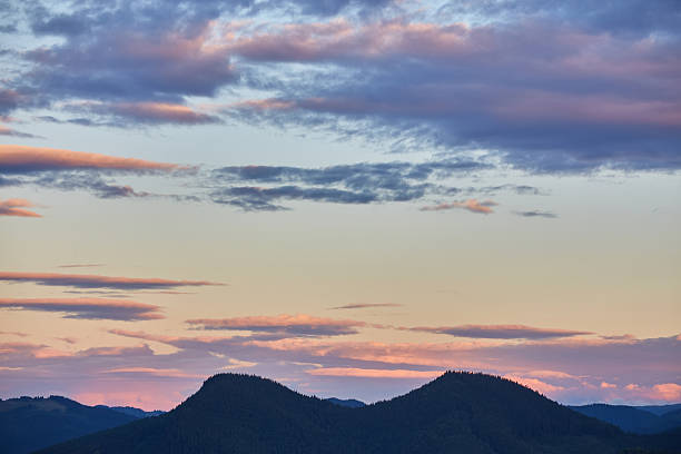 istock Beautiful sunset and pine forest in mountains 2254601027