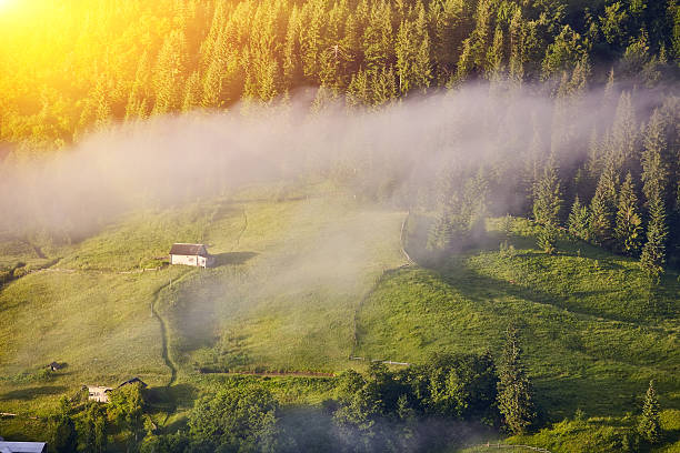 foggy day in seiser alm