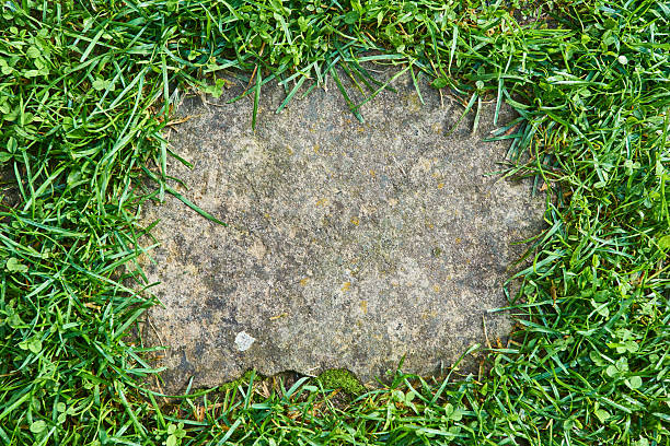 istock Natural frame, paving stones surrounded by green grass. 2254601078
