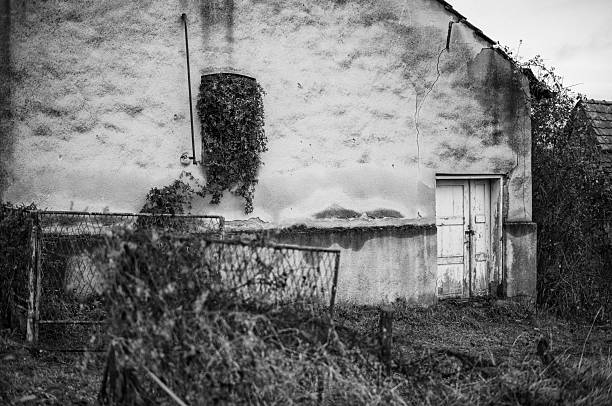 Nature reclaims an abandoned building. Vines grow through a window, while a weathered door hints at a forgotten past. The scene evokes a sense of decay and the relentless power of nature.