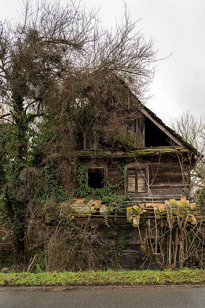 Old brick house, ruined and abandoned, in overgrown village. Sunny summer day