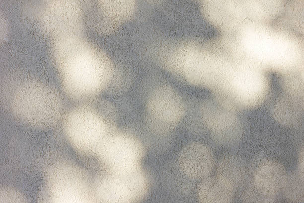 istock Background with blurred shadows of branches on a white background. Light spots from sunlight. 2254601981