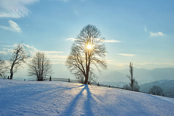 Beautiful winter landscape in the Carpathian mountains