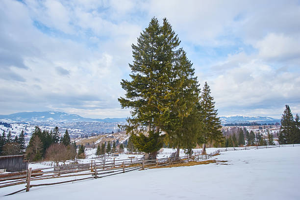 istock Beautiful winter landscape in mountains 2254602387
