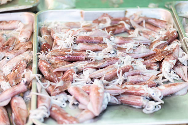 Asian street food market, fresh calamari sales on Asian street sea food market display.Phuket Island - Thailand.