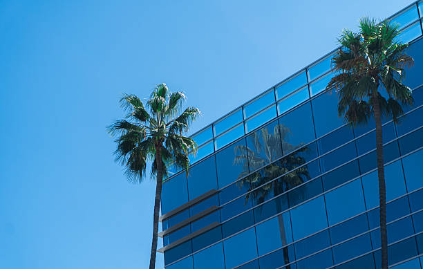 istock Palm Trees Reflected in Modern Glass Office Building 2254605844