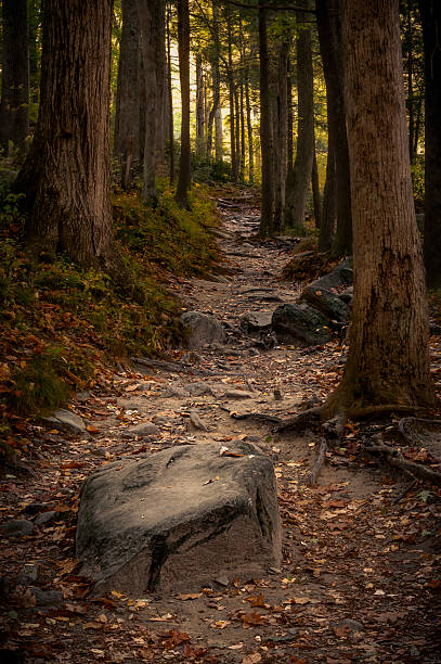 Photos taken in the Great Smoky Mountains National Park on a beautiful and sunny autumn day.