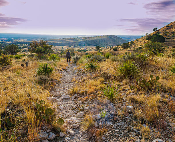 istock Female Hiker on The El Capitan Trail at Sunrise 2254607111