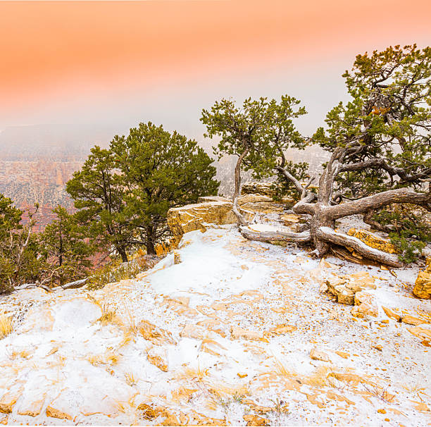 Cloudy Sunrise and Snow Covered Ledge Near Trail view Overlook, Grand Canyon National Park, Arizona, USA