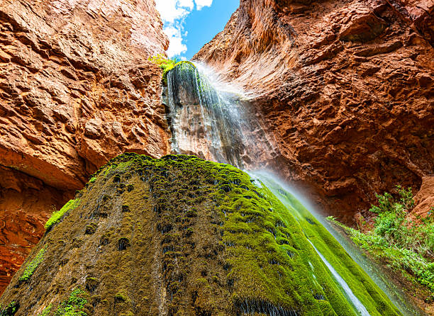 Moss Covered Rocks Below Ribbon Falls On The North Kaibab Trail, Grand Canyon National Park, Arizona, USA
