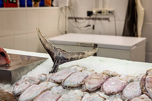 Venice, Italy, April 15th, 2014.Plenty of seafood and fish on display at the Venice Mercato: 100% fresh fish!