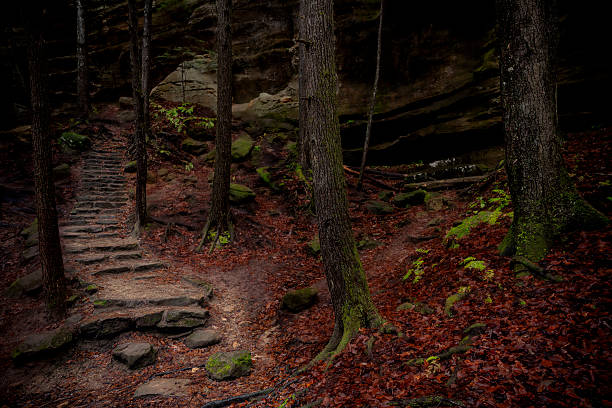 Morning hiking in Hocking Hills Ohio State Park