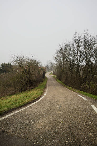 istock Descending road in the countryside 2254612785