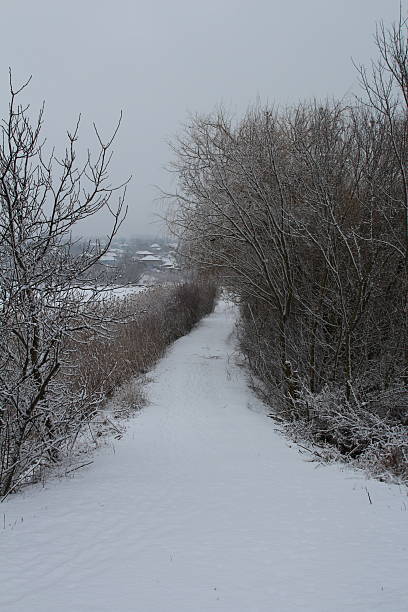 A snowy landscape with trees. Outdoor. Snow. Tree. Sky. Skiing