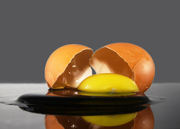 The eggshell is broken and the contents of the egg flowed out on a black mirror background. scrambled eggs in semi-finished product