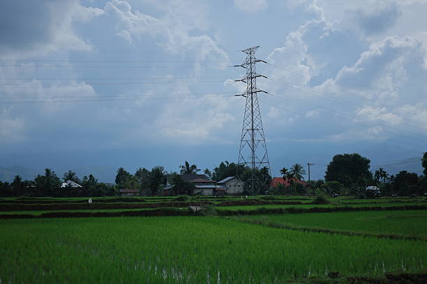 A high voltage power transmission tower rises above lush green rice fields in a rural landscape, illustrating the connection between modern energy infrastructure and agricultural life. The scene reflects electricity distribution, sustainable development, and the coexistence of industry and nature under a dramatic cloudy sky.