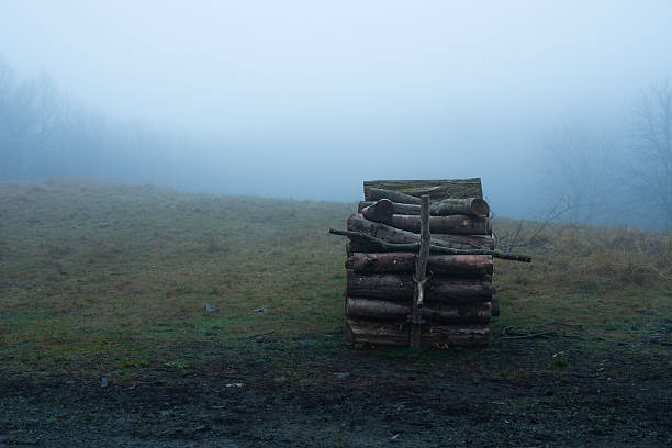 Log pile remained after forestry works on a foggy meadow in the Visegrád Mountains near Visegrád, Hungary.