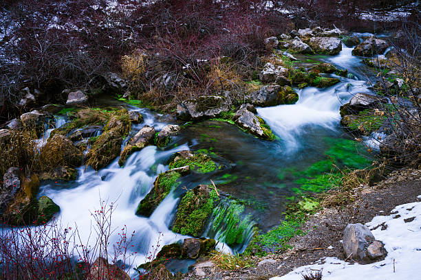Scenic landscape with lush green plants in warm water flowing through canyon in winter. Vibrant green plants growing in warm flowing water with surounding cold winter conditions.