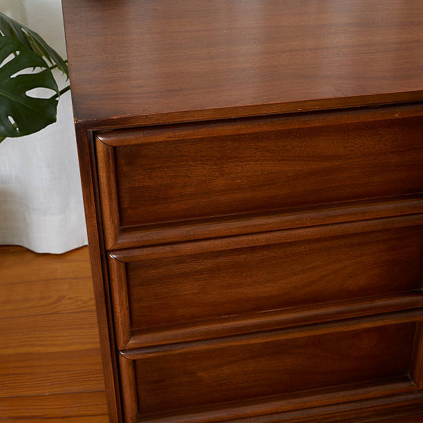 Vintage mid-century modern furniture at home