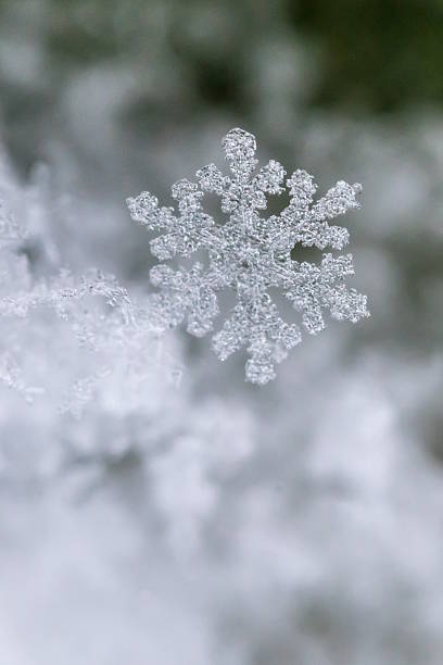 Macro photography of a snowflake