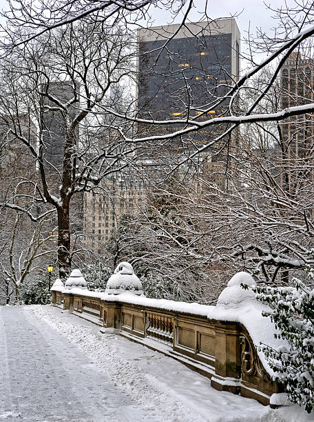 istock Central Park in winter , early morning snow 2254635691