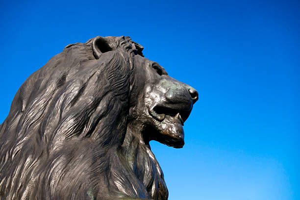 The head in profile of one of the famous bronze lion statues in Trafalgar Square in Central London. The lions are a hugely popular sight in the Square; they were designed by Sir Edwin Landseer to stand at the base of Nelson’s Column in 1867 as a symbol of British strength and courage.
