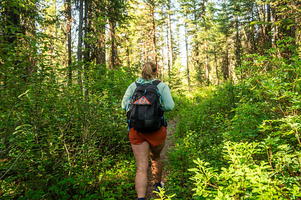 istock Hiker Heads Into Thick Forest Of Glacier 2254637911