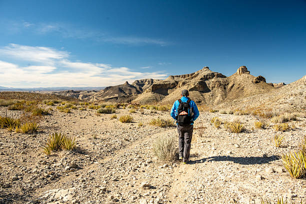 istock Man In Blue Coat Hikes Across Mesa De Anguilla In Big Bend 2254637954
