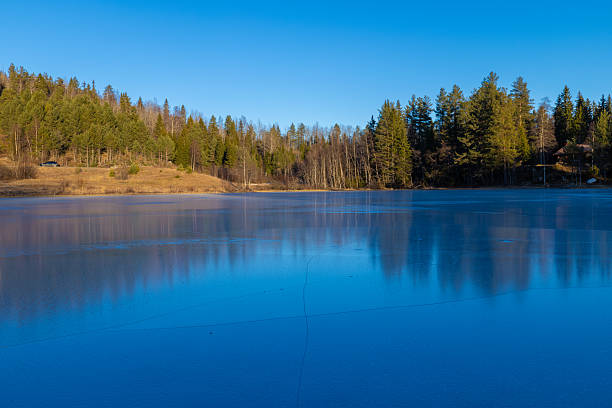 Wide winter landscape showing a frozen lake with smooth ice reflecting a forested shoreline. Clear blue sky and calm conditions create a serene seasonal scene with natural colors and simple composition.